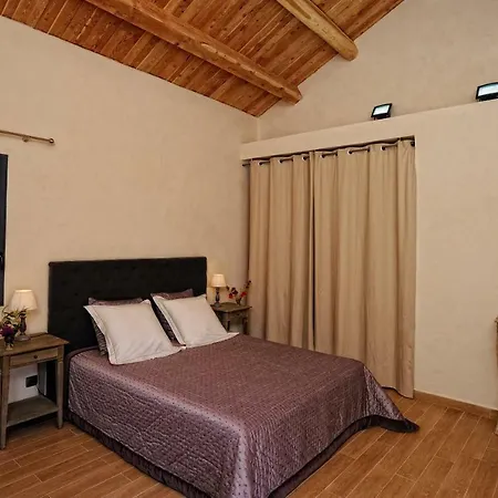 Bed and breakfast Chambres D'hotes A La Maison Des Vignes Sarragia
