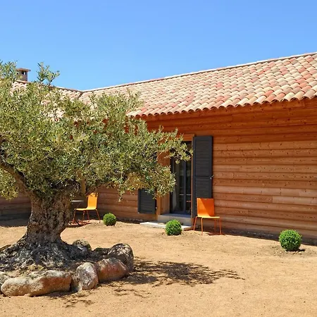 Chambres D'hotes A La Maison Des Vignes Sarragia