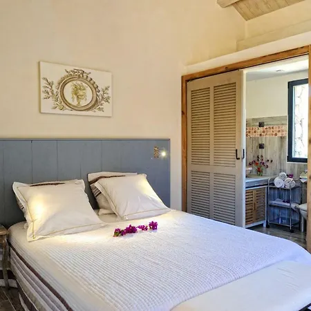 Chambres D'hotes A La Maison Des Vignes Sarragia