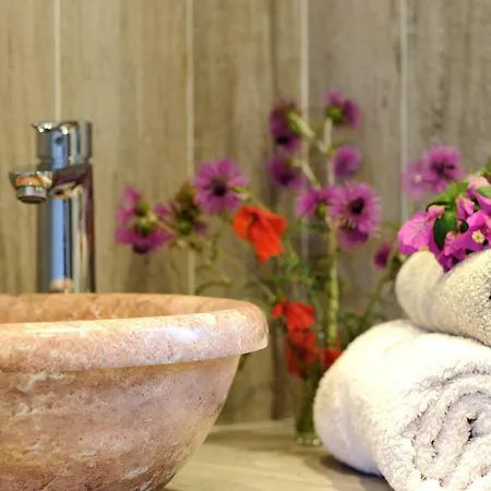 Chambres D'hotes A La Maison Des Vignes Bed & Breakfast