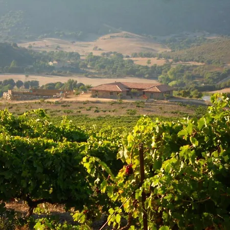 Chambres D'hotes A La Maison Des Vignes *