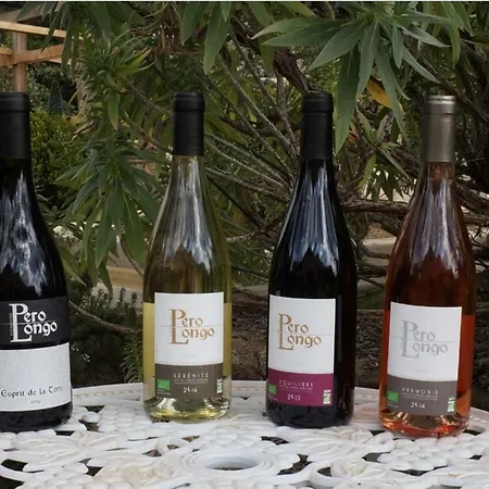 Chambres D'hotes A La Maison Des Vignes Panzió *